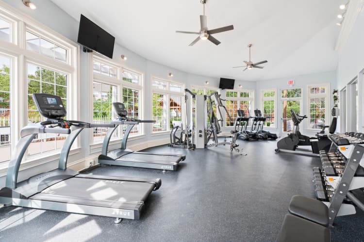 Lexington apartments for rent - image - 15808252