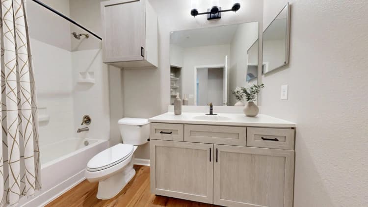 Lexington apartments for rent - image - Newly Renovated Bathroom