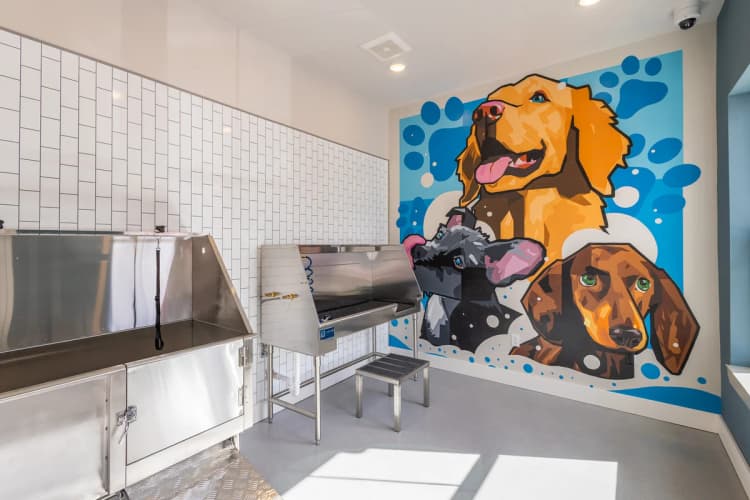 Lexington apartments for rent - image - A dog-themed mural in a room