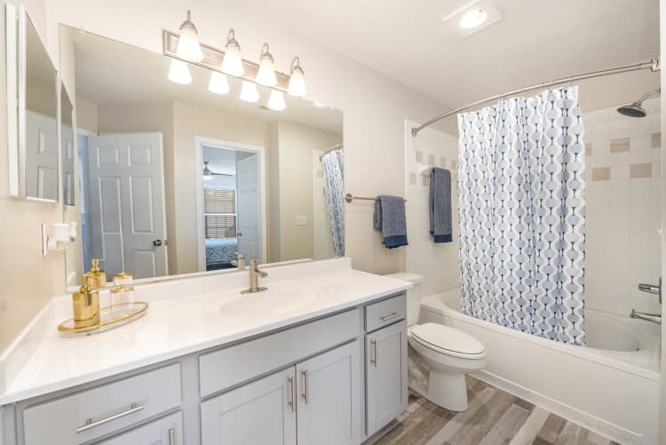 Lexington apartments for rent - image - 17308278
