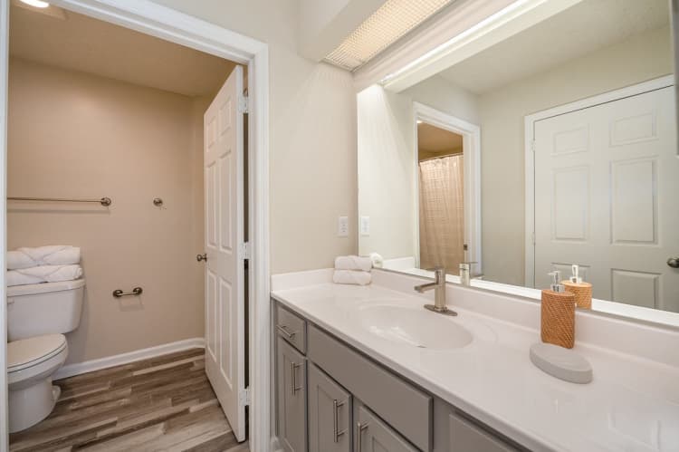 Lexington apartments for rent - image - 17308289