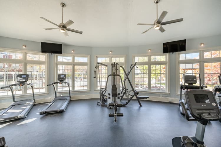 Lexington apartments for rent - image - 17308293