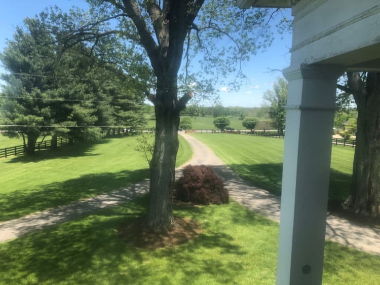 Lexington apartments for rent - image - image-2.jpg