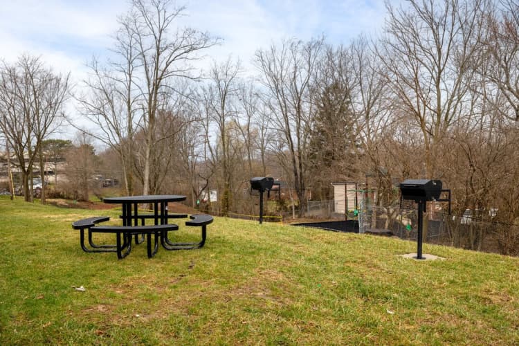 Lexington apartments for rent - image - mount-tabor-townhouses-lexington-ky-picnic-area.jpg