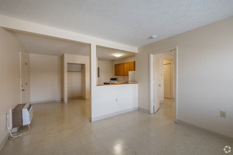 Lexington apartments for rent - image - walnut-hill-apartments-lexington-ky-1br-1ba---550sf---710---livingkitchen.jpg