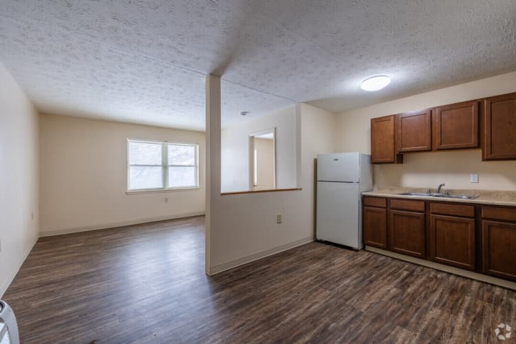 Lexington apartments for rent - image - walnut-hill-apartments-lexington-ky-1br-1ba---550sf---713---kitchenliving.jpg