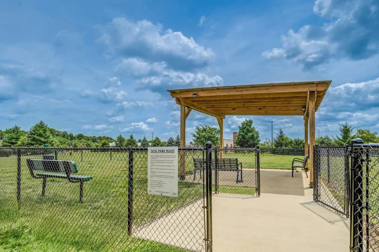 Lexington apartments for rent - image - Dog Park