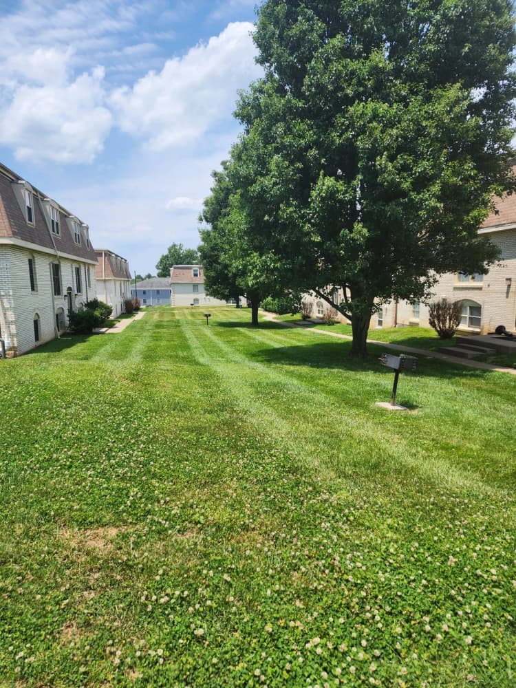 Lexington apartments for rent - image - yardi_image_1789454793245_45_18199924