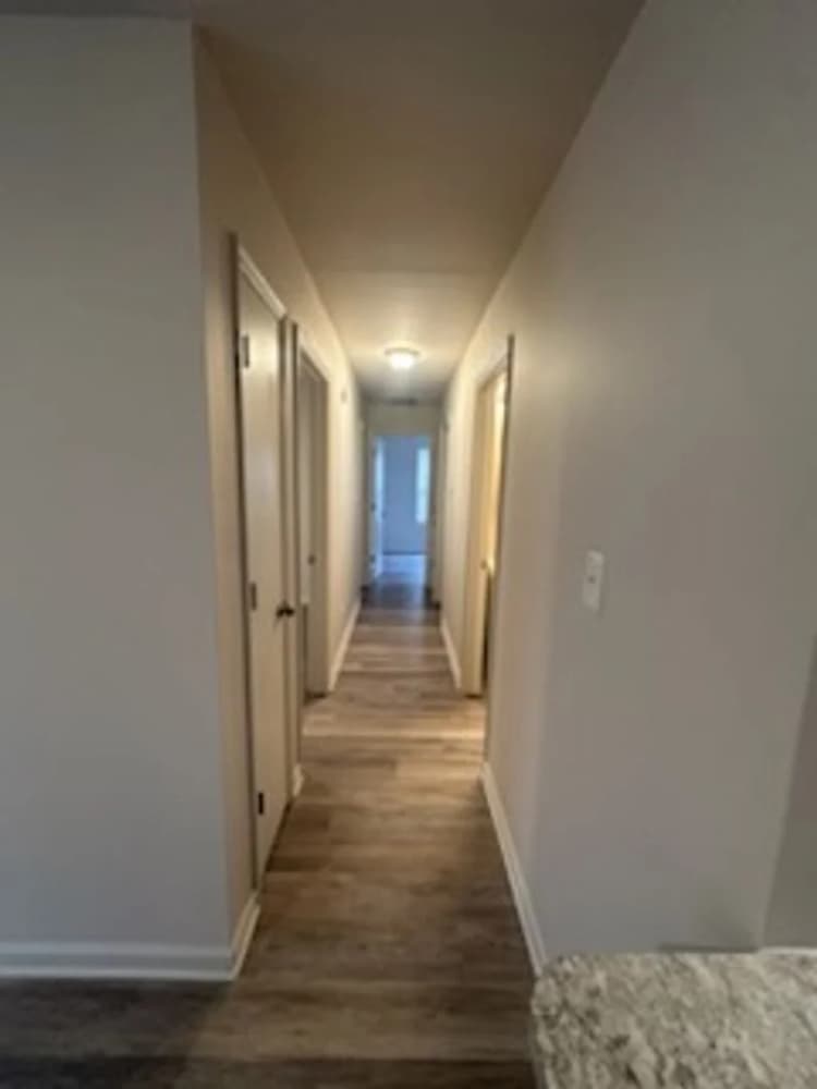 Lexington apartments for rent - image - image-8.jpg