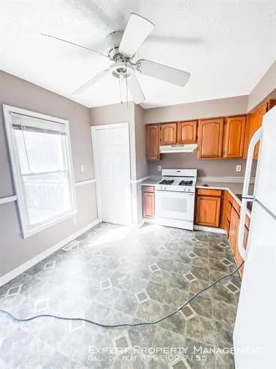 Lexington apartments for rent - Property image - 1216 Hammond Avenue - 3