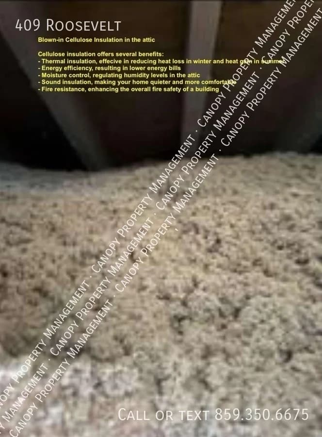 Lexington apartments for rent - image - image-11.jpg
