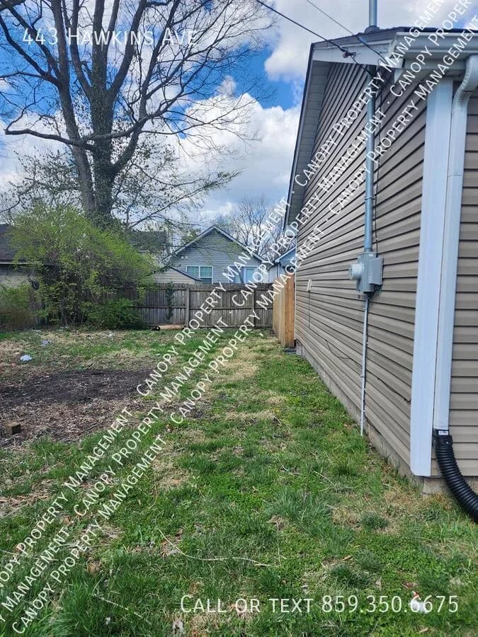 Lexington apartments for rent - image - image-2.jpg