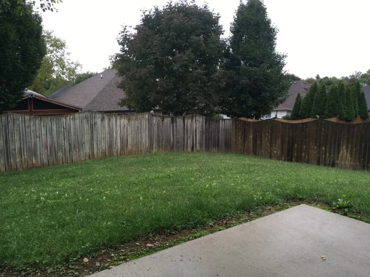 Lexington apartments for rent - image - image-29.jpg