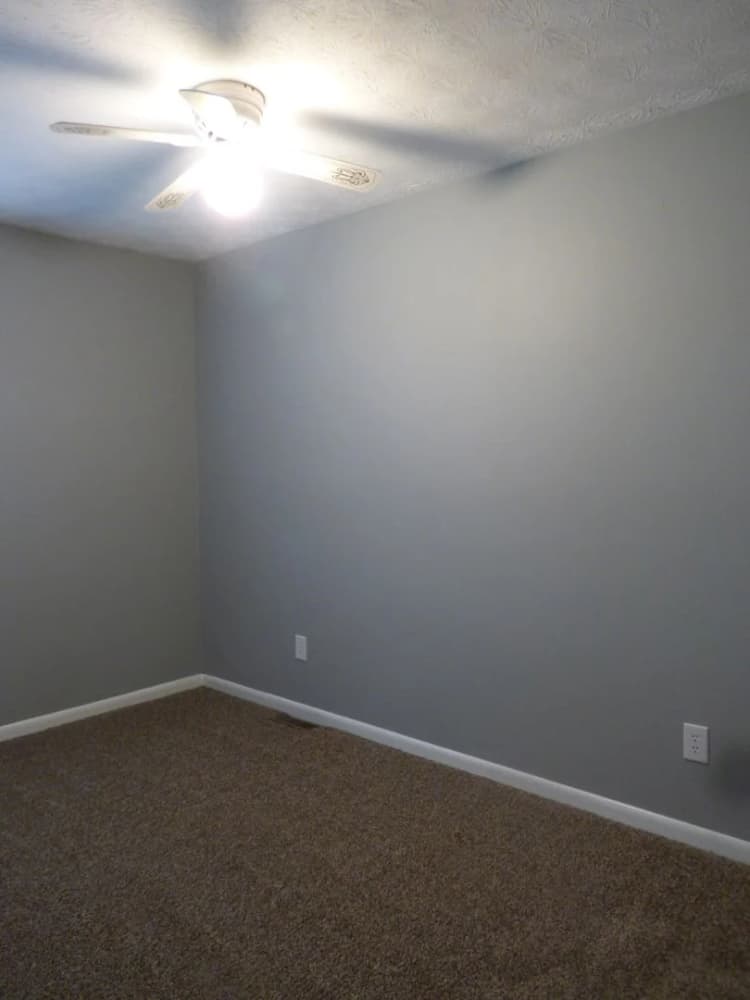 Lexington apartments for rent - image - image-20.jpg