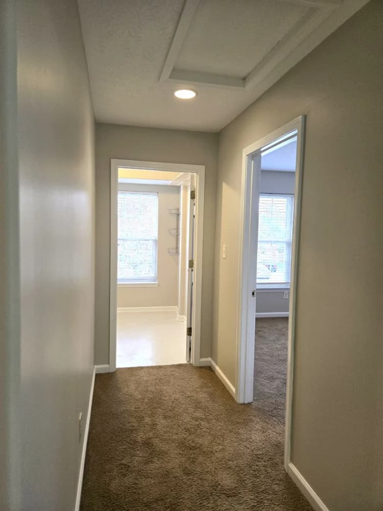 Lexington apartments for rent - image - image-25.jpg