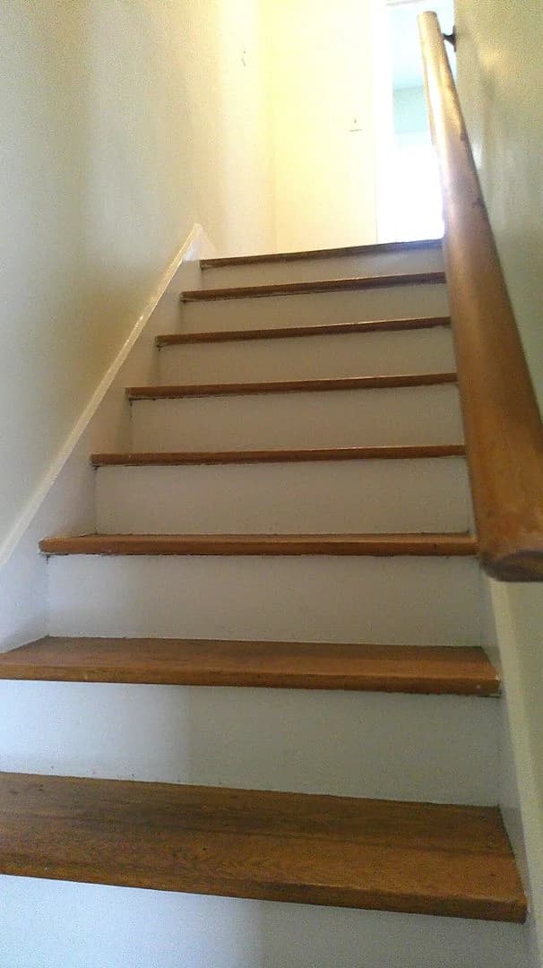Lexington apartments for rent - image - image-6.jpg