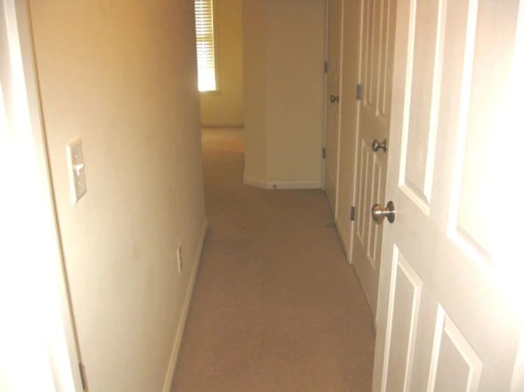 Lexington apartments for rent - image - image-11.jpg