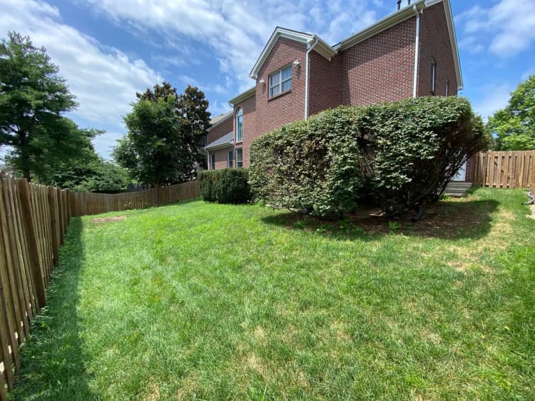 Lexington apartments for rent - image - image-27.jpg