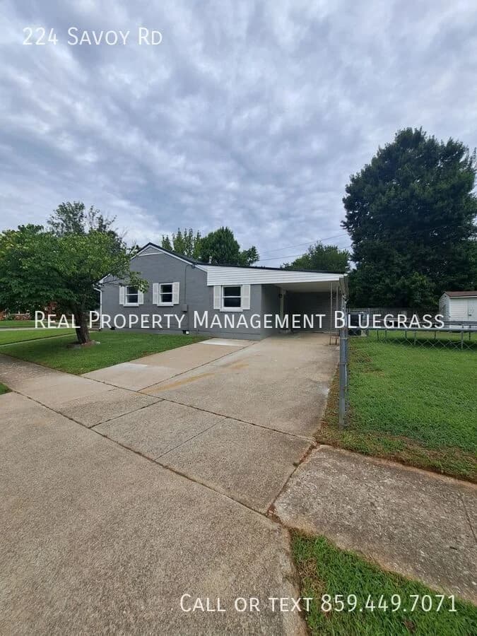 Lexington apartments for rent - Property image - 224 Savoy Rd - 3