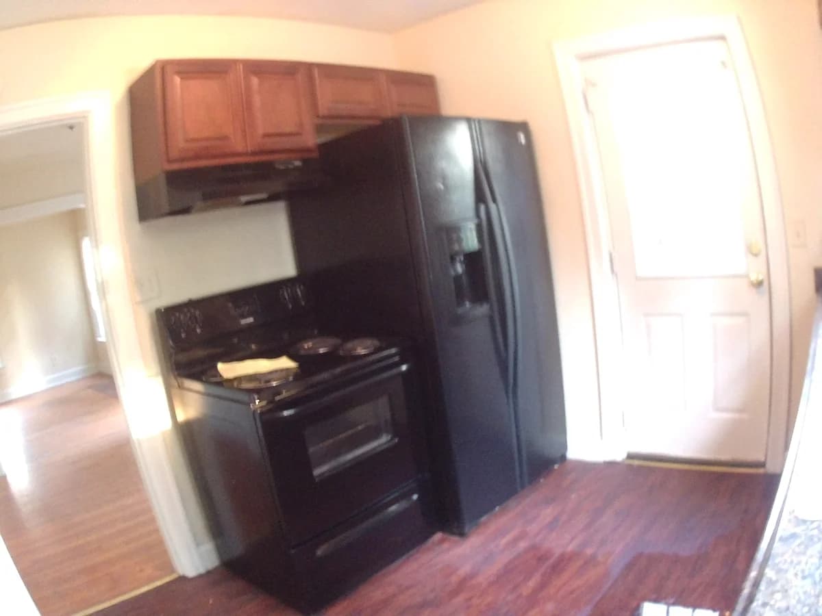 Lexington apartments for rent - Property image - 1561 Elizabeth St. - 3