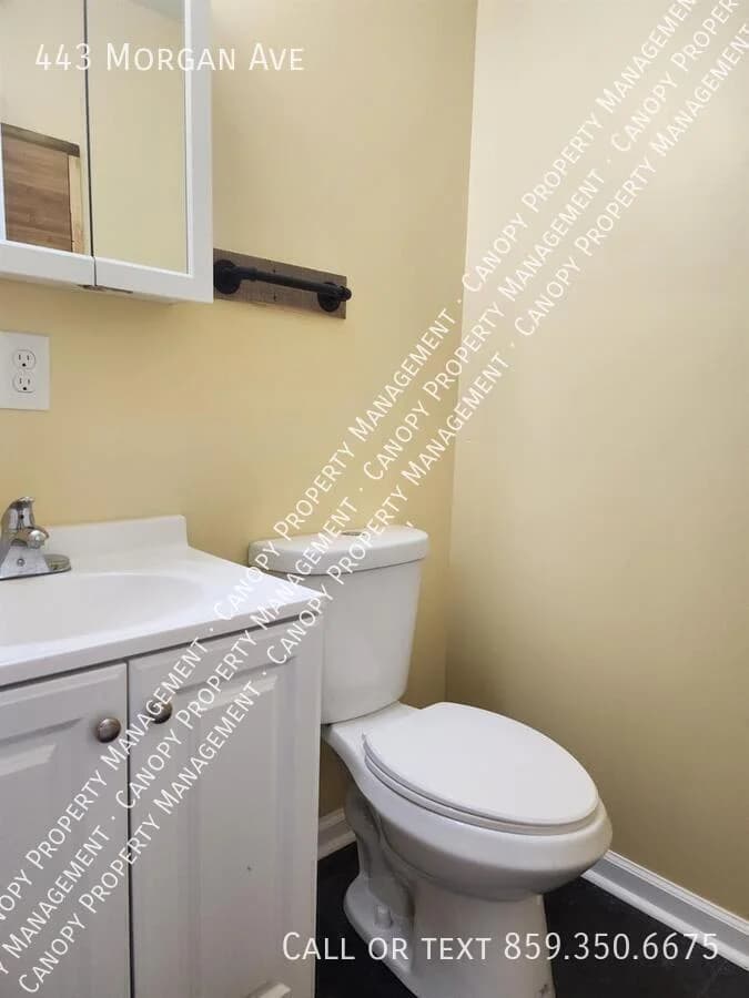 Lexington apartments for rent - image - image-29.jpg