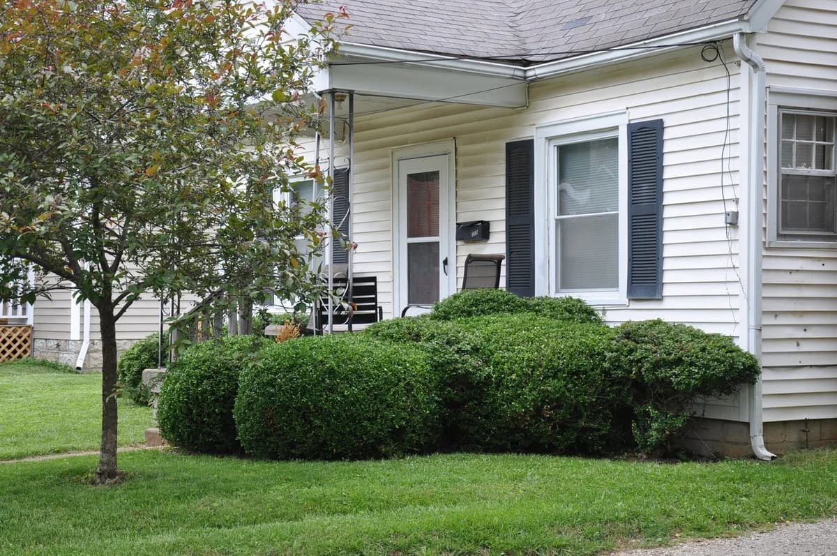 Lexington apartments for rent - Property image - 359 Bucoto Court - 1