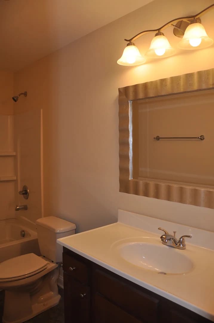 Lexington apartments for rent - image - image-6.jpg