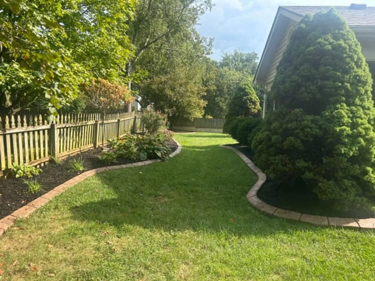 Lexington apartments for rent - image - image-26.jpg