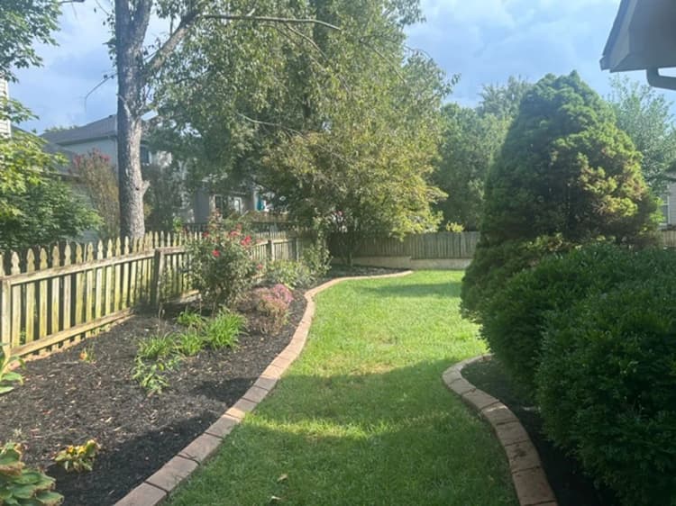 Lexington apartments for rent - image - image-30.jpg