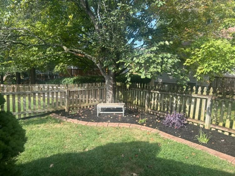 Lexington apartments for rent - image - image-28.jpg