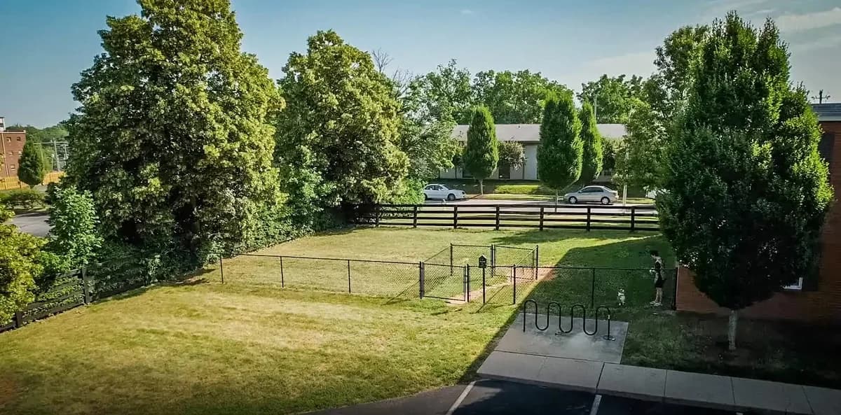Lexington apartments for rent - Property image - The Studios at Belmont - 3