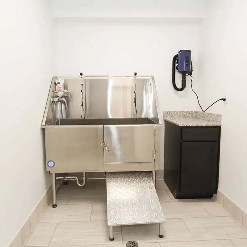 Lexington apartments for rent - Property image - The Studios at Patchen - 2