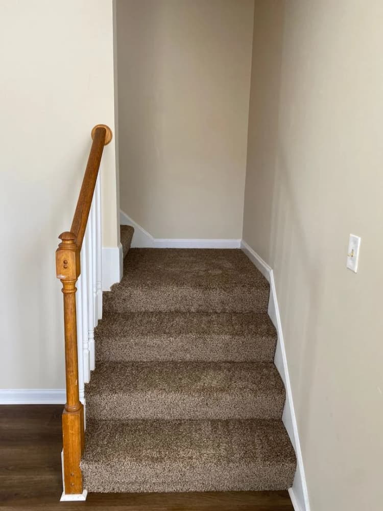 Lexington apartments for rent - image - image-11.jpg