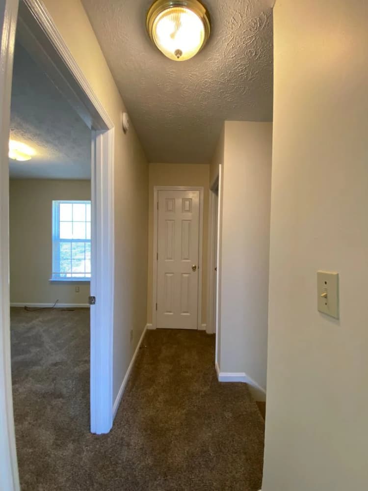 Lexington apartments for rent - image - image-14.jpg