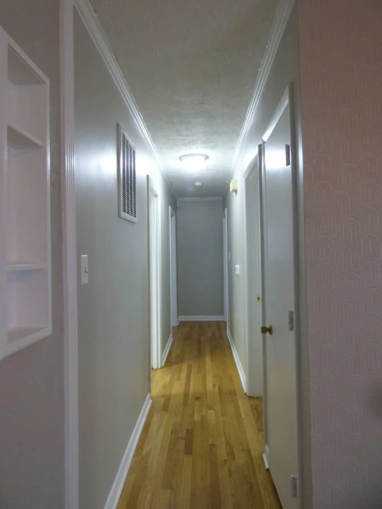 Lexington apartments for rent - image - image-12.jpg