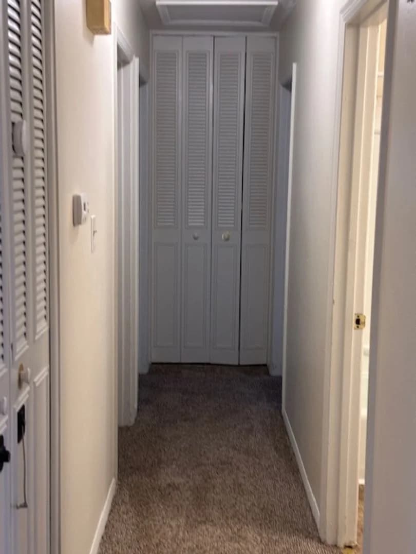 Lexington apartments for rent - image - image-26.jpg