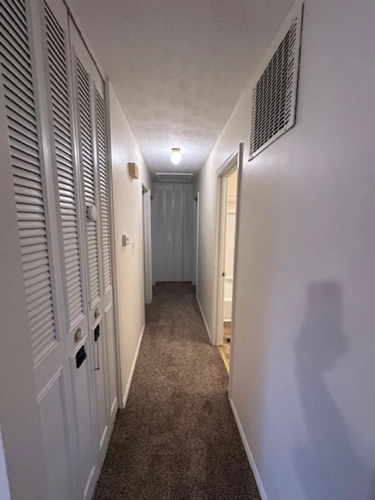 Lexington apartments for rent - image - image-25.jpg