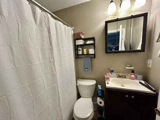 Lexington apartments for rent - image - image-10.jpg