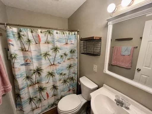 Lexington apartments for rent - image - image-10.jpg
