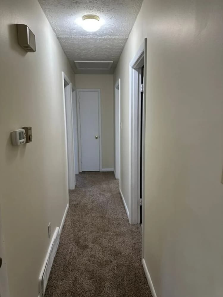 Lexington apartments for rent - image - image-6.jpg
